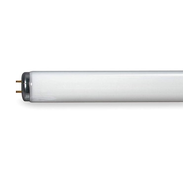 T12 Med Bi-Pin Linear Fluorescent 30W 3500K 120V | Raise Lighting at Lightology T12 Med Bi-Pin Linear Fluorescent 30W 3500K 120V