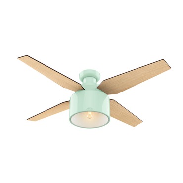 Cranbrook Low Profile Ceiling Fan with Light | Hunter Fan at Lightology Cranbrook Low Profile Ceiling Fan with Light