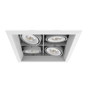 PAR20 LED 2X2 Trim with Remodel Housing | Eurofase at Lightology PAR20 LED 2X2 Trim with Remodel Housing