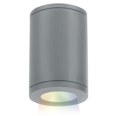 Tube 5IN Architectural Color Changing Ceiling Light