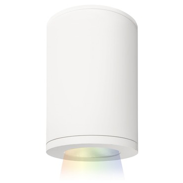 Tube 5IN Architectural Color Changing Ceiling Light