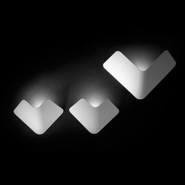 Fly Wall Light
