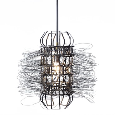 Modern Lighting Contemporary By Lucy Slivinski Hyacinth Pendant