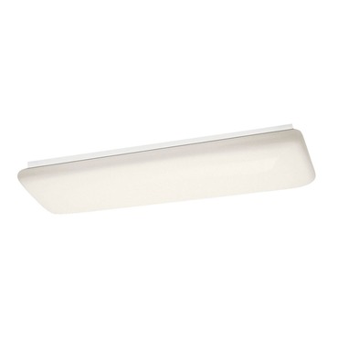 Linear Flush Mount LED Ceiling Light