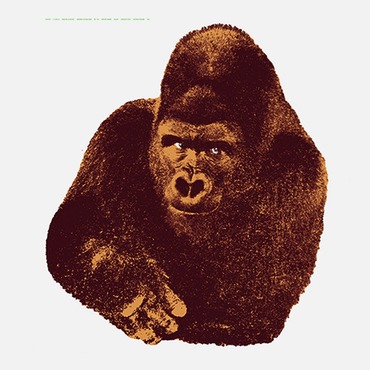 Quindici, Il Gorilla Art Print | Danese Milano at Lightology Quindici, Il Gorilla Art Print