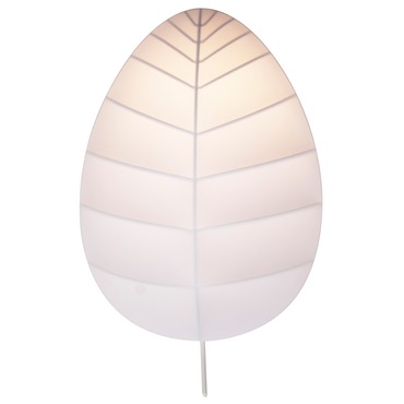 Eden Wall / Ceiling Light