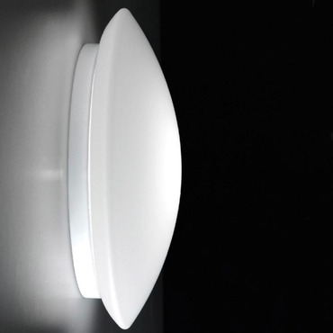 Bis Wall / Ceiling Mount