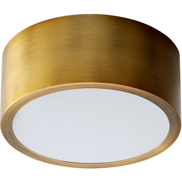 Peepers 5 Inch Wall / Ceiling Light