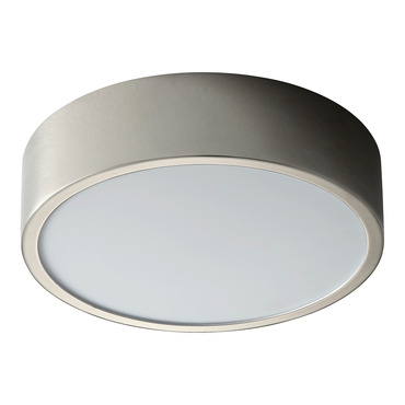 Peepers 10 Inch Wall / Ceiling Light