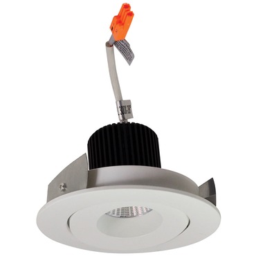 Iolite 4IN RD Surface Gimbal Adjustable Trim