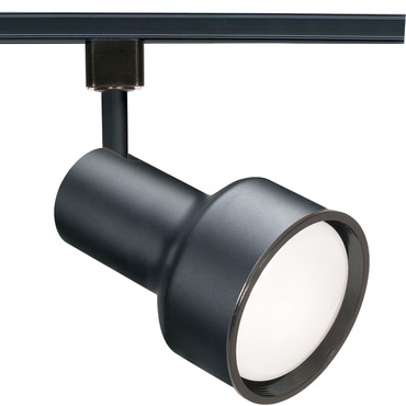 H Series 5IN R30 120V Step Cylinder Track Head | Satco at Lightology H Series 5IN R30 120V Step Cylinder Track Head