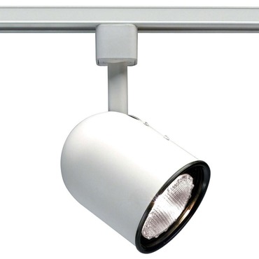 H Series 4IN PAR20 120V Bullet Short Cylinder Track Head