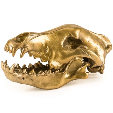 Diesel Wunderkammer Wolf Skull