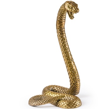 Diesel Wunderkammer Snake