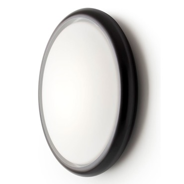 Sky Wall / Ceiling Light | Carpyen at Lightology Sky Wall / Ceiling Light