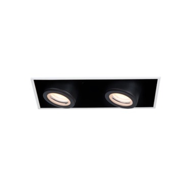 Silo Multiples Trimless Adjustable Spot and Housing | WAC Lighting at Lightology Silo Multiples Trimless Adjustable Spot and Housing