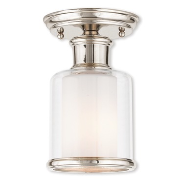 Middlebush Ceiling Light Fixture