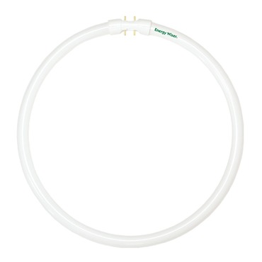 T5 Circline 2Gx13 Base 12W 120V 3000K | Bulbrite at Lightology T5 Circline 2Gx13 Base 12W 120V 3000K
