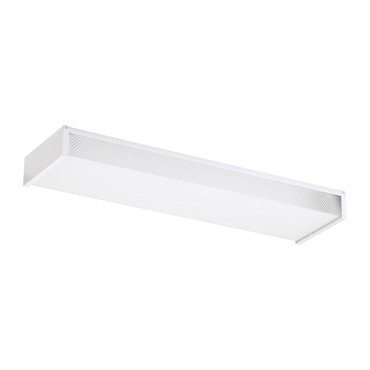 Drop Lens Ceiling Light Fixture
