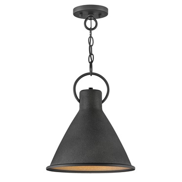 Winnie Pendant | Hinkley Lighting at Lightology Winnie Pendant