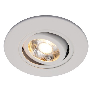 3IN Round Adjustable Trim