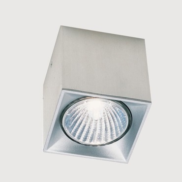 Dau Spot Ceiling Light Fixture | ZANEEN design at Lightology Dau Spot Ceiling Light Fixture