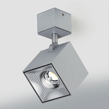 Dau Spot Wall / Ceiling Light | ZANEEN design at Lightology Dau Spot Wall / Ceiling Light