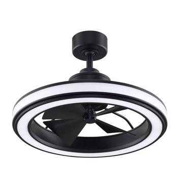 Gleam Indoor / Outdoor Ceiling Fan with Light