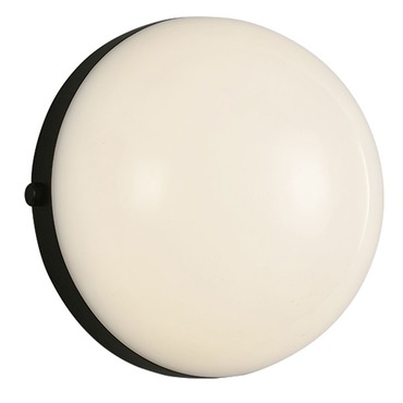 Globo Wall Sconce / Ceiling Flush Light