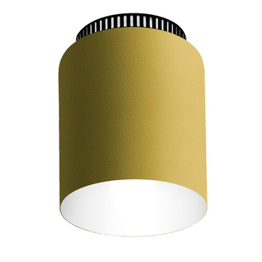 Aspen C17 Ceiling Light