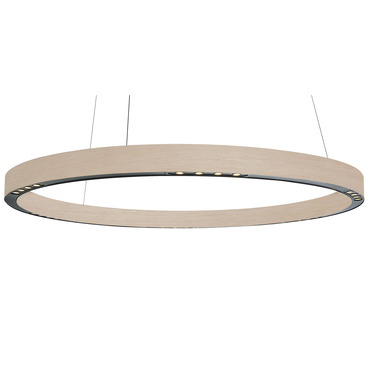 R2 Pendant | B.Lux at Lightology R2 Pendant