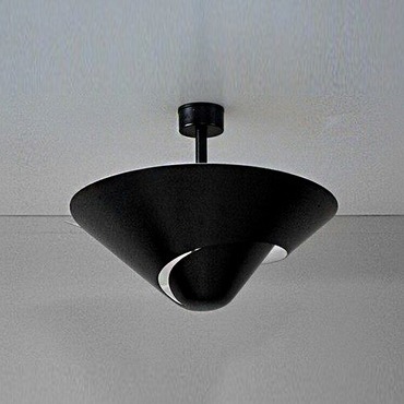 Snail Convertible Semi Flush / Pendant