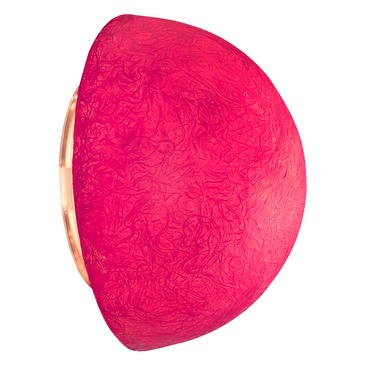 Button Outdoor Wall Sconce