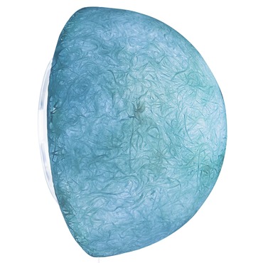 Button Outdoor Wall Sconce Button Outdoor Wall Sconce