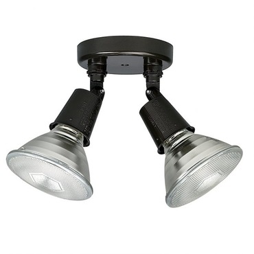 Bronze 2-Lamp Outdoor Floodlight