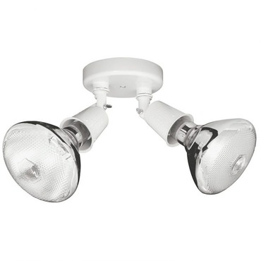 2-Lamp Outdoor Floodlight | Capital Lighting at Lightology 2-Lamp Outdoor Floodlight