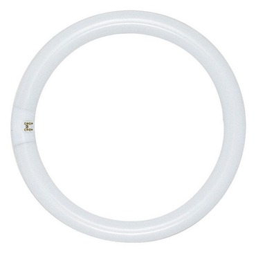 T9 Circline G10q 4-Pin Base 40W 120V 3000K | Raise Lighting at Lightology T9 Circline G10q 4-Pin Base 40W 120V 3000K
