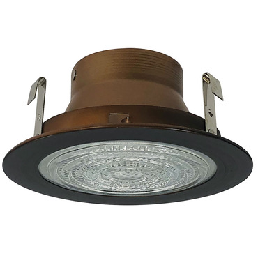 NL Series 4IN RD Lensed Fresnel Trim