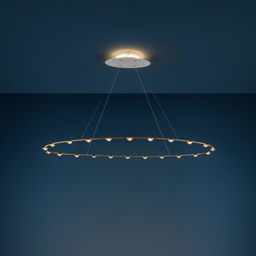 Petites Lentilles Chandelier