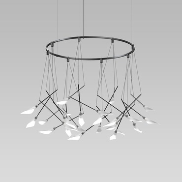 Suspenders Ring Chandelier with Calla Luminaires Suspenders Ring Chandelier with Calla Luminaires