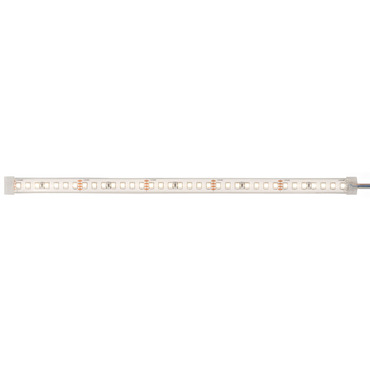 SS Commercial Outdoor Soft Strip 24V | PureEdge Lighting at Lightology SS Commercial Outdoor Soft Strip 24V