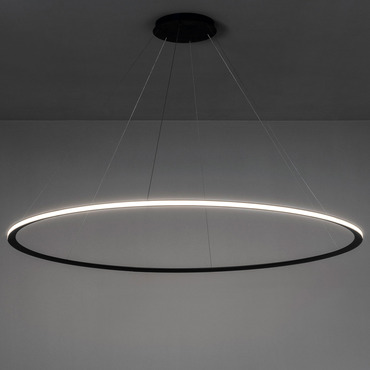 Circular 1 Ring Pendant | LedsC4 at Lightology Circular 1 Ring Pendant