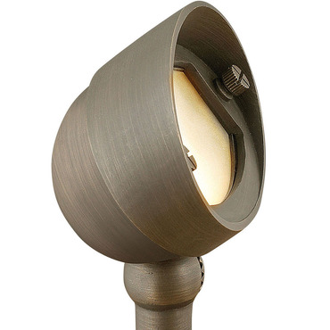 Hardy Island 12V Wall Wash Spot Light