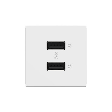 Adorne 2 Module Ultra Fast USB Outlet | Legrand Adorne at Lightology Adorne 2 Module Ultra Fast USB Outlet