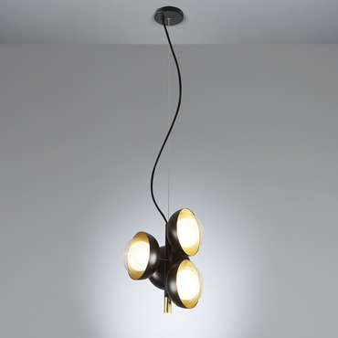 Muse Chandelier | Tooy at Lightology Muse Chandelier