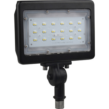 Flood Light 120V