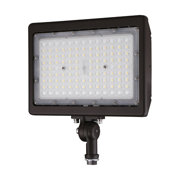 High Power Flood Light 120V