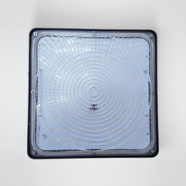 Canopy Light | TCP at Lightology Canopy Light