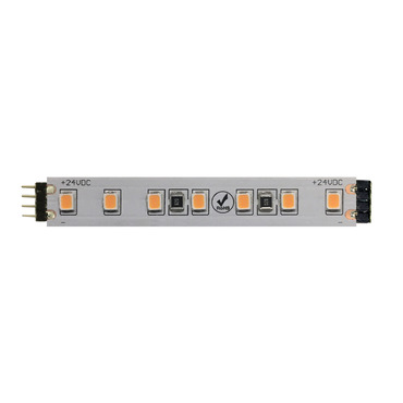 Stomp Strip 24VDC with 4Pin Connector or Soldered Leads