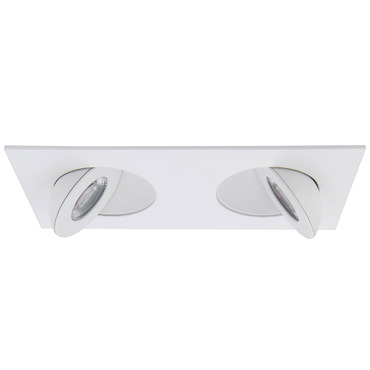 Lotos 2 inch 3000K Multi-Light Adjustable Trim w/Remote Driver